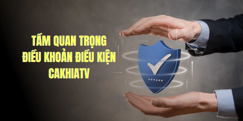Điều khoản điều kiện CakhiaTV quan trọng thế nào?